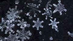 МЕТЕОВЕСТИ - прогноз погоды и новости о погоде от ФОБОС