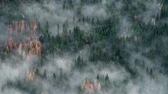 МЕТЕОВЕСТИ - прогноз погоды и новости о погоде от ФОБОС