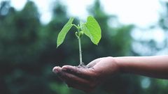 МЕТЕОВЕСТИ - прогноз погоды и новости о погоде от ФОБОС