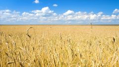МЕТЕОВЕСТИ - прогноз погоды и новости о погоде от ФОБОС
