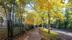 Осень в Петербурге