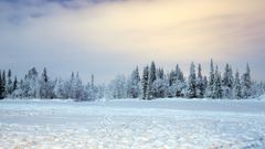 МЕТЕОВЕСТИ - прогноз погоды и новости о погоде от ФОБОС