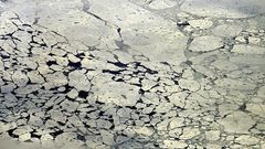 Ледяные поля Антарктиды