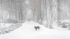 МЕТЕОВЕСТИ - прогноз погоды и новости о погоде от ФОБОС