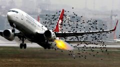 МЕТЕОВЕСТИ - прогноз погоды и новости о погоде от ФОБОС