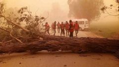 Пыльная буря