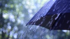МЕТЕОВЕСТИ - прогноз погоды и новости о погоде от ФОБОС