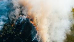 МЕТЕОВЕСТИ - прогноз погоды и новости о погоде от ФОБОС