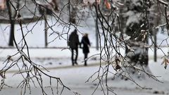 МЕТЕОВЕСТИ - прогноз погоды и новости о погоде от ФОБОС