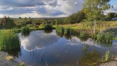 Гляжусь в тебя, как в зеркало...