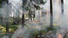 МЕТЕОВЕСТИ - прогноз погоды и новости о погоде от ФОБОС