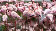 МЕТЕОВЕСТИ - прогноз погоды и новости о погоде от ФОБОС