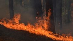 МЕТЕОВЕСТИ - прогноз погоды и новости о погоде от ФОБОС