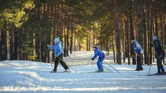 МЕТЕОВЕСТИ - прогноз погоды и новости о погоде от ФОБОС
