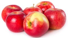 МЕТЕОВЕСТИ - прогноз погоды и новости о погоде от ФОБОС