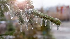 МЕТЕОВЕСТИ - прогноз погоды и новости о погоде от ФОБОС