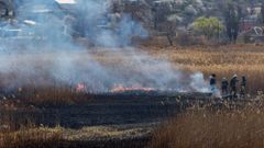МЕТЕОВЕСТИ - прогноз погоды и новости о погоде от ФОБОС