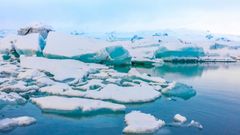 Антарктида