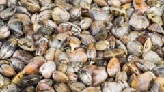 МЕТЕОВЕСТИ - прогноз погоды и новости о погоде от ФОБОС