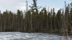 МЕТЕОВЕСТИ - прогноз погоды и новости о погоде от ФОБОС