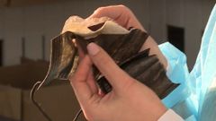 МЕТЕОВЕСТИ - прогноз погоды и новости о погоде от ФОБОС