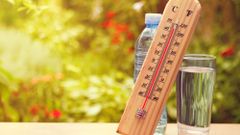 МЕТЕОВЕСТИ - прогноз погоды и новости о погоде от ФОБОС