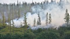 МЕТЕОВЕСТИ - прогноз погоды и новости о погоде от ФОБОС