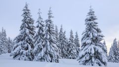 МЕТЕОВЕСТИ - прогноз погоды и новости о погоде от ФОБОС