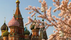 МЕТЕОВЕСТИ - прогноз погоды и новости о погоде от ФОБОС