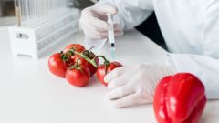 МЕТЕОВЕСТИ - прогноз погоды и новости о погоде от ФОБОС