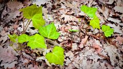 Прогноз апрель