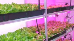 МЕТЕОВЕСТИ - прогноз погоды и новости о погоде от ФОБОС