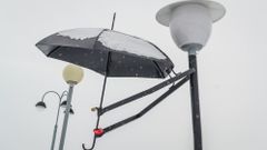МЕТЕОВЕСТИ - прогноз погоды и новости о погоде от ФОБОС