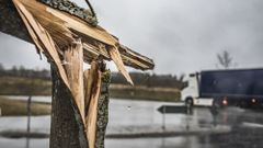 МЕТЕОВЕСТИ - прогноз погоды и новости о погоде от ФОБОС