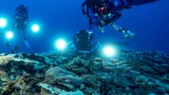 МЕТЕОВЕСТИ - прогноз погоды и новости о погоде от ФОБОС