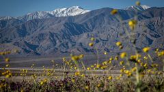 Долина смерти - 1