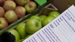 МЕТЕОВЕСТИ - прогноз погоды и новости о погоде от ФОБОС