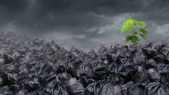 МЕТЕОВЕСТИ - прогноз погоды и новости о погоде от ФОБОС