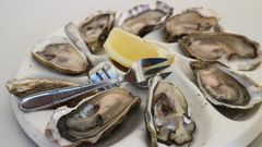 Устрицы