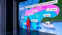 Вести 8.04.26