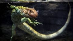 МЕТЕОВЕСТИ - прогноз погоды и новости о погоде от ФОБОС