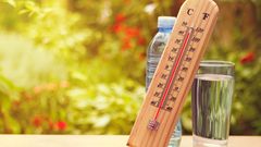 МЕТЕОВЕСТИ - прогноз погоды и новости о погоде от ФОБОС