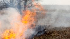 МЕТЕОВЕСТИ - прогноз погоды и новости о погоде от ФОБОС