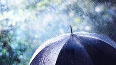 МЕТЕОВЕСТИ - прогноз погоды и новости о погоде от ФОБОС