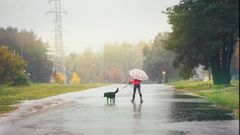 Тема 18.09
