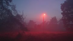 МЕТЕОВЕСТИ - прогноз погоды и новости о погоде от ФОБОС
