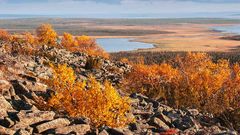 МЕТЕОВЕСТИ - прогноз погоды и новости о погоде от ФОБОС