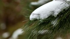 МЕТЕОВЕСТИ - прогноз погоды и новости о погоде от ФОБОС
