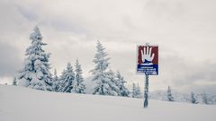 МЕТЕОВЕСТИ - прогноз погоды и новости о погоде от ФОБОС