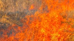 МЕТЕОВЕСТИ - прогноз погоды и новости о погоде от ФОБОС
